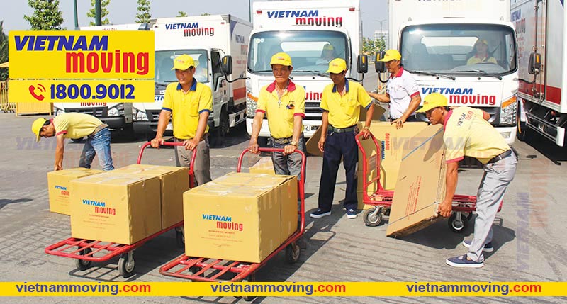 Nhân viên Vietnam Movng làm việc chu đáo