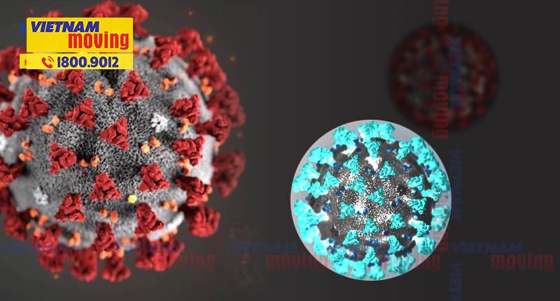 Những lưu ý khi chuyển nhà trong tâm dịch Covid 19